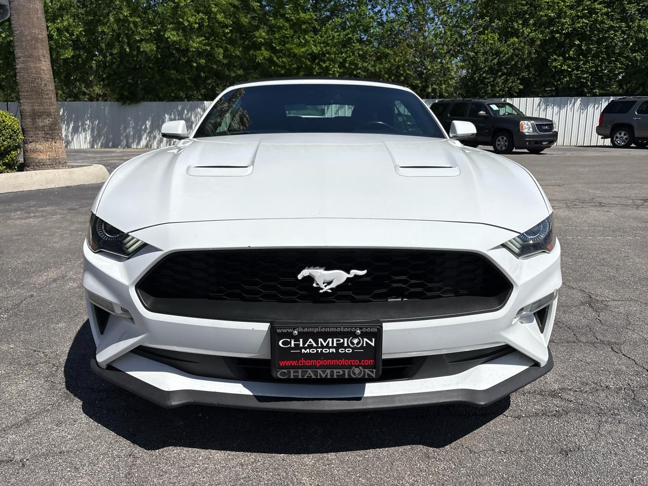 Ford Mustang EcoBoost Convertible 2019