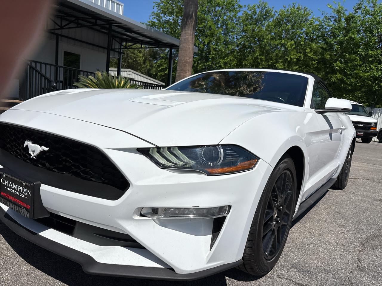 Ford Mustang EcoBoost Convertible 2019