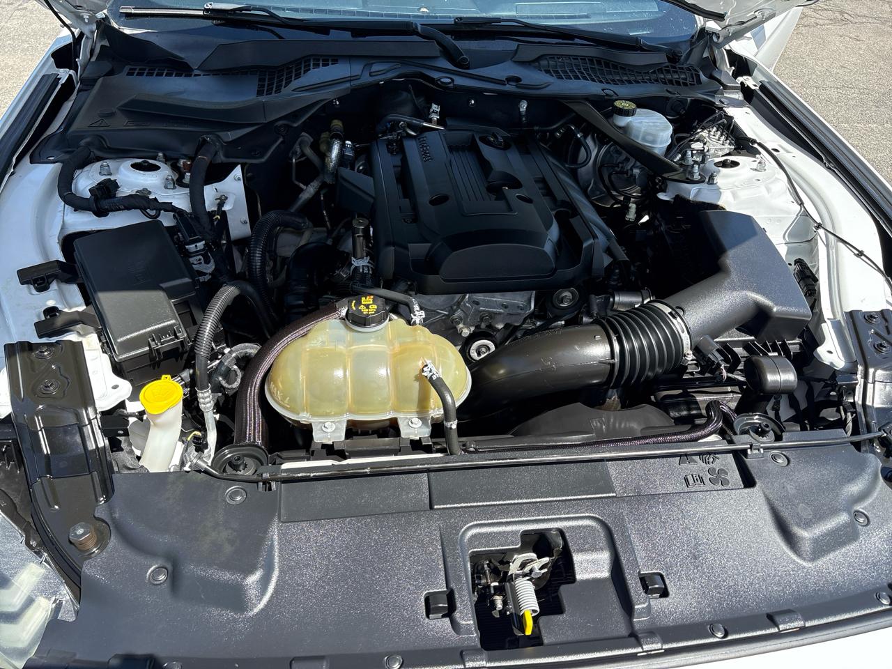 Ford Mustang EcoBoost Convertible 2019