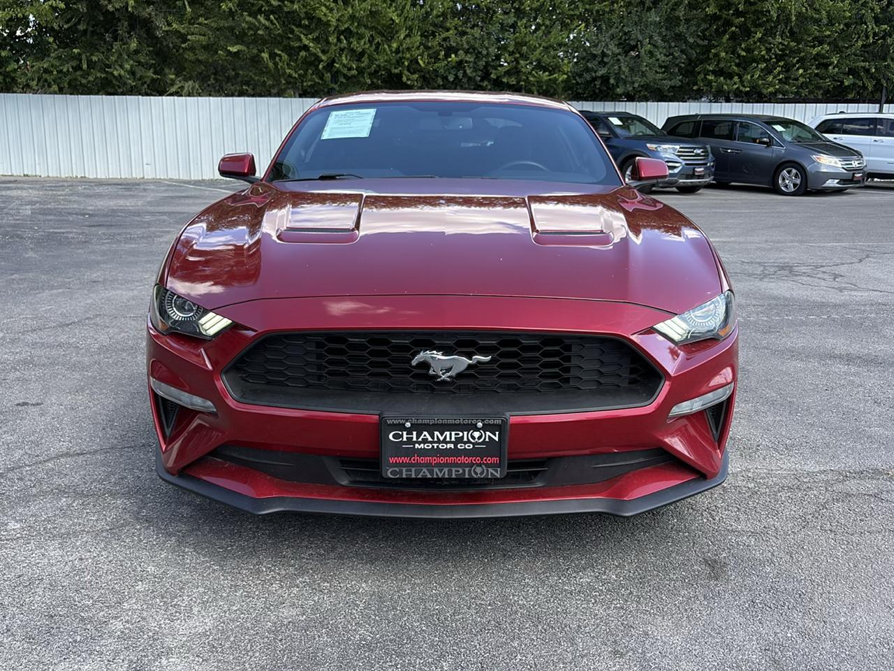 Ford Mustang EcoBoost Fastback 2020