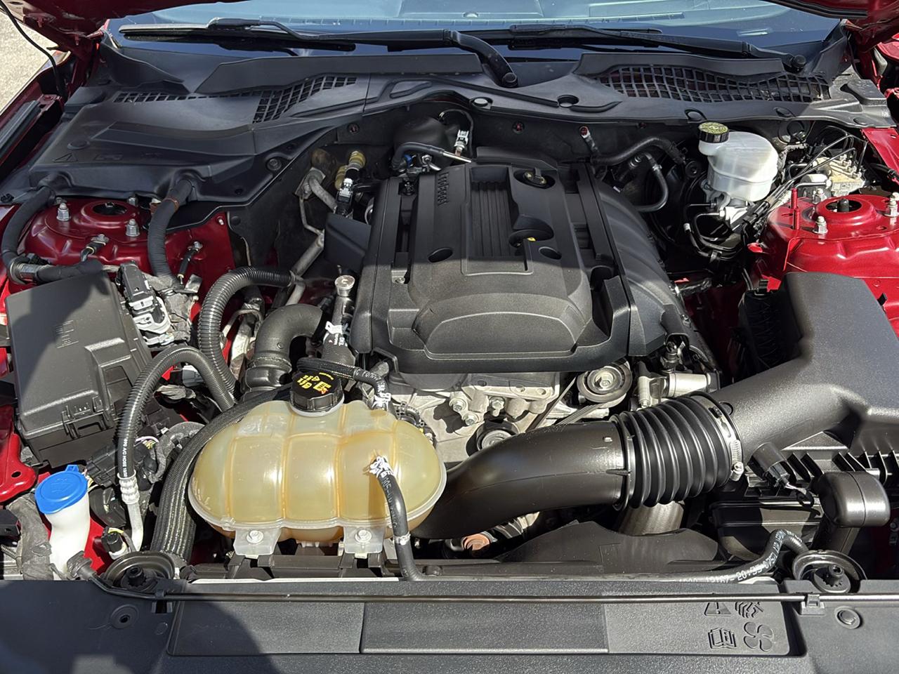 Ford Mustang EcoBoost Fastback 2020