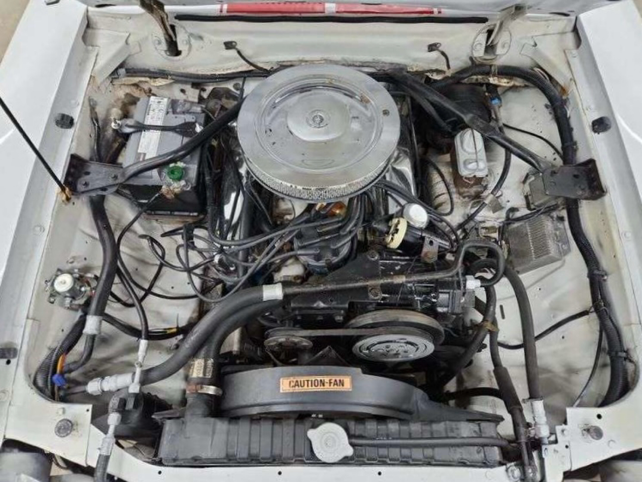 Ford MUSTANG COBRA  1977