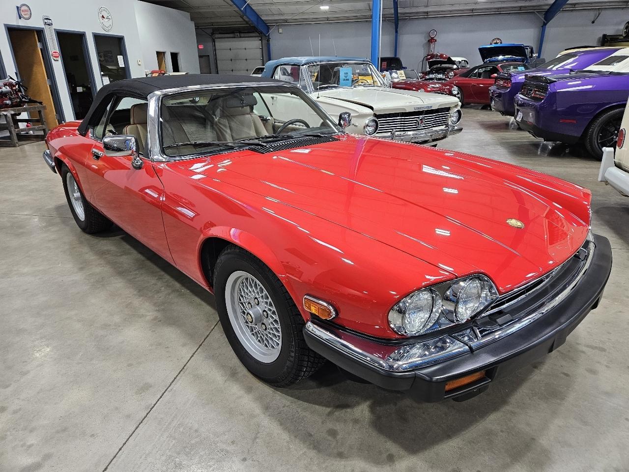Jaguar XJS  1991
