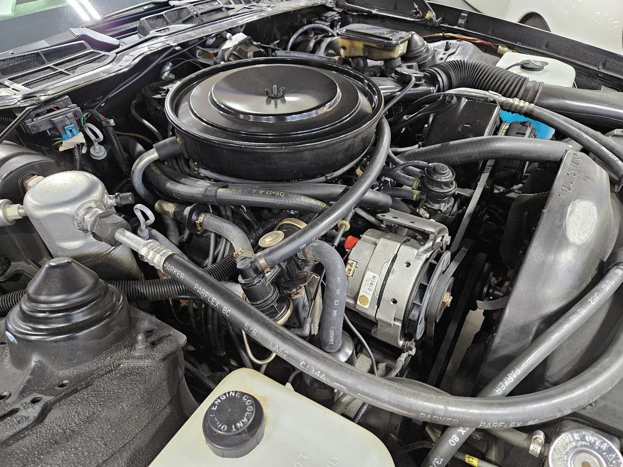 Chevrolet Camaro Z28 1984