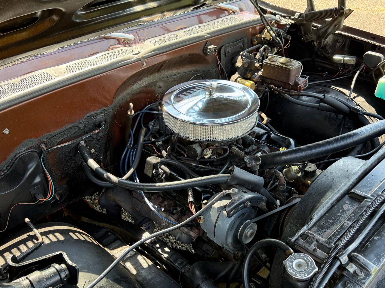 Chevrolet Fleetside  1978