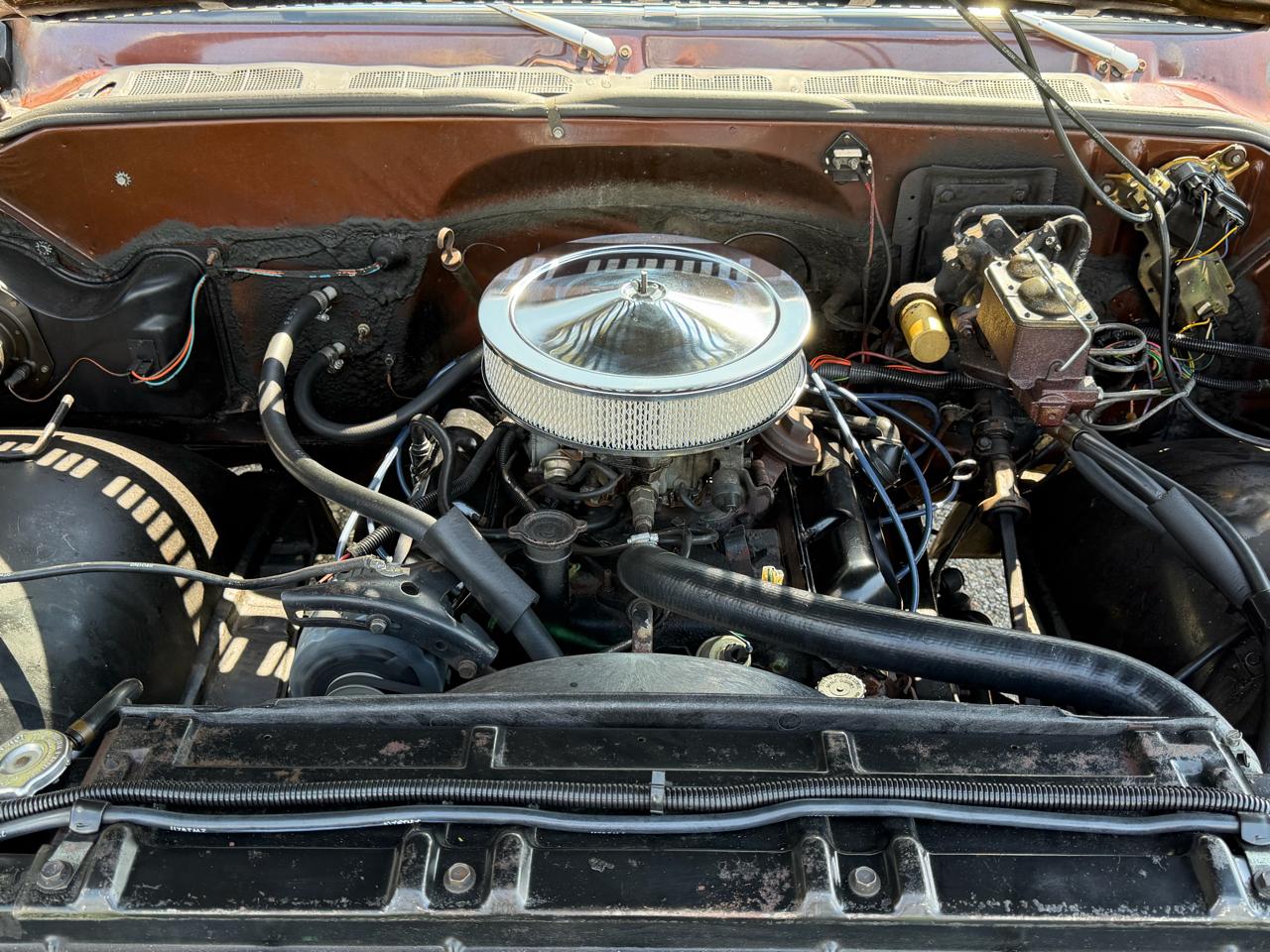 Chevrolet Fleetside  1978