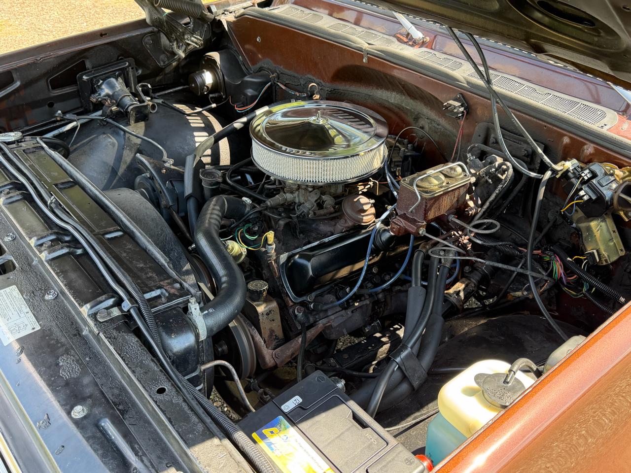 Chevrolet Fleetside  1978