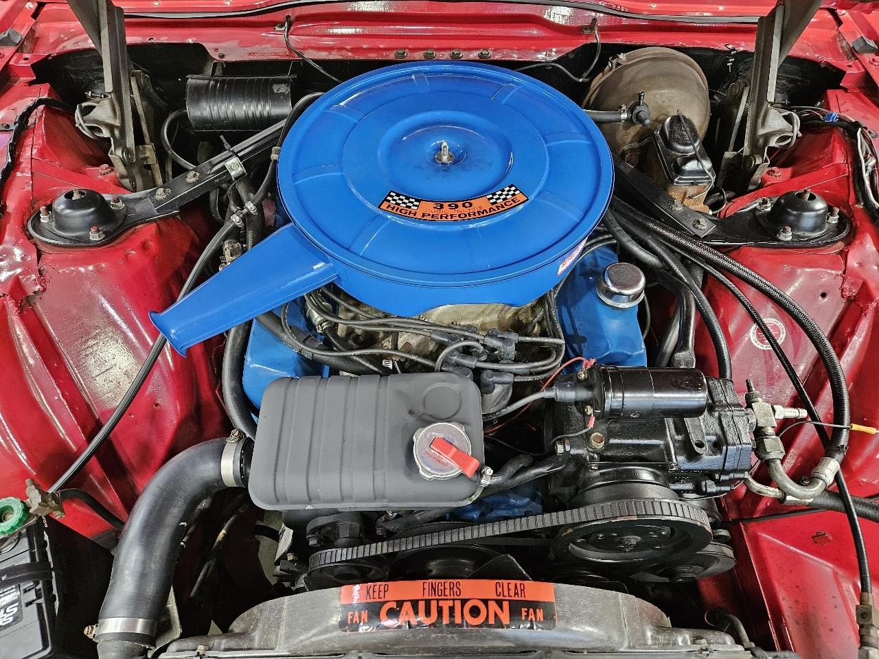Ford Thunderbird  1966