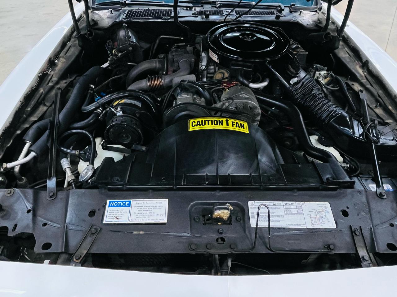 Pontiac Trans Am  1980