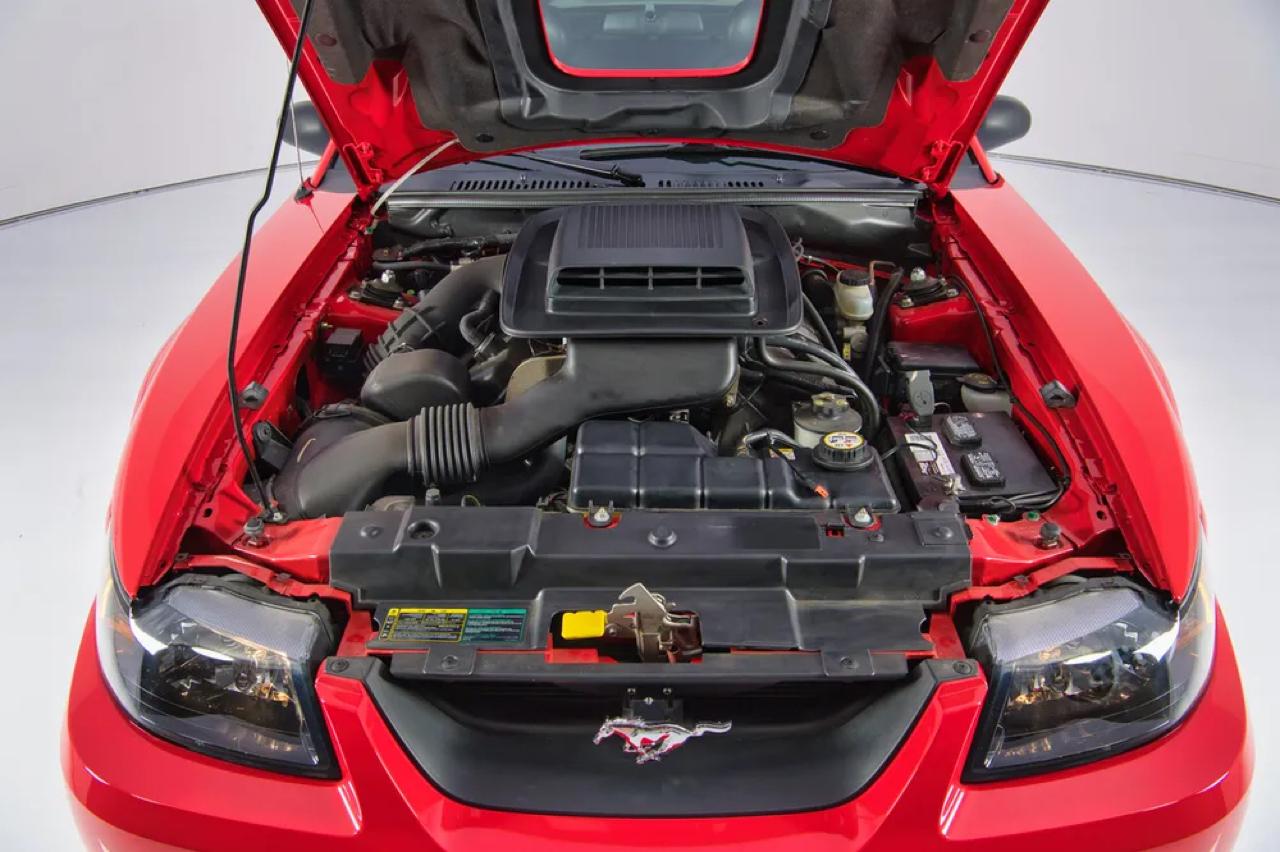 Ford Mustang Mach 1 2003