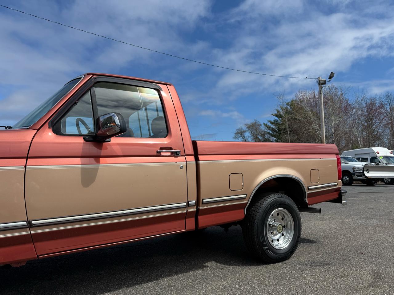 Ford F-150  1995