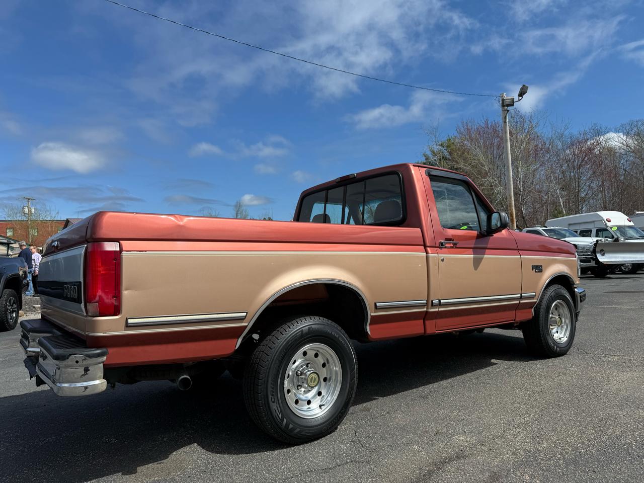 Ford F-150  1995
