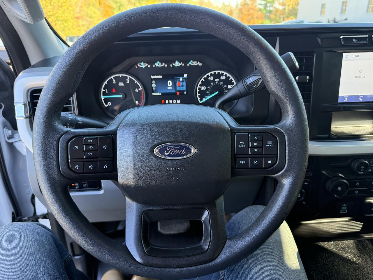 Ford Super Duty F-250 SRW  2024