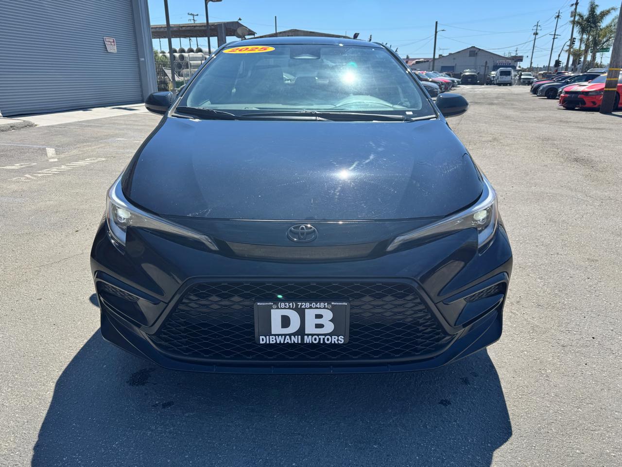 Toyota Corolla SE CVT (Natl) 2025