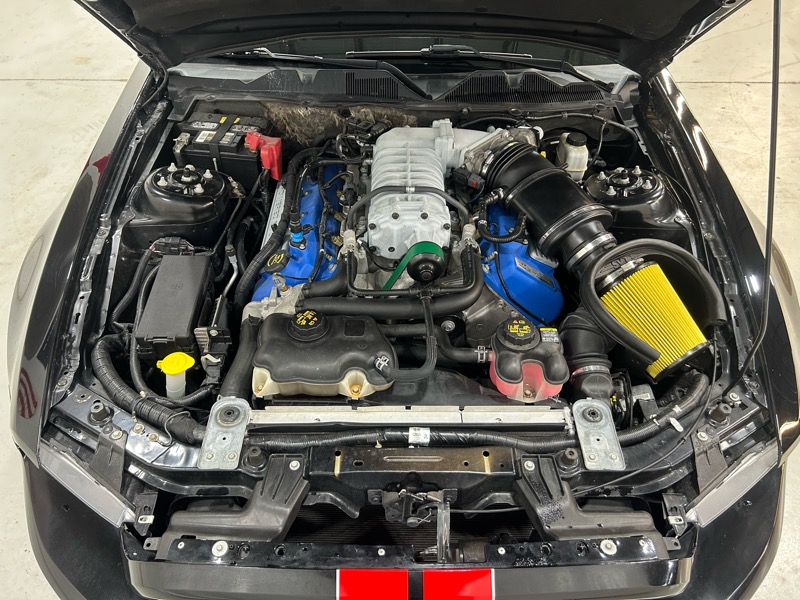 Ford Mustang Shelby GT500 Fastback 2012