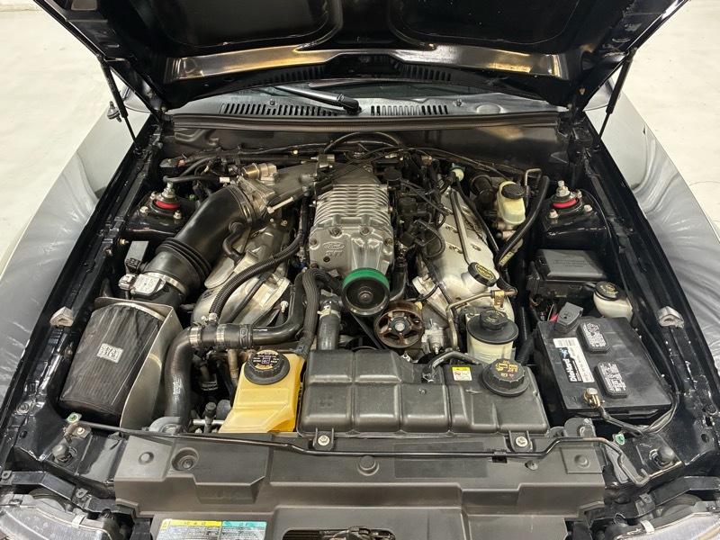 Ford Mustang SVT Cobra Convertible 2003
