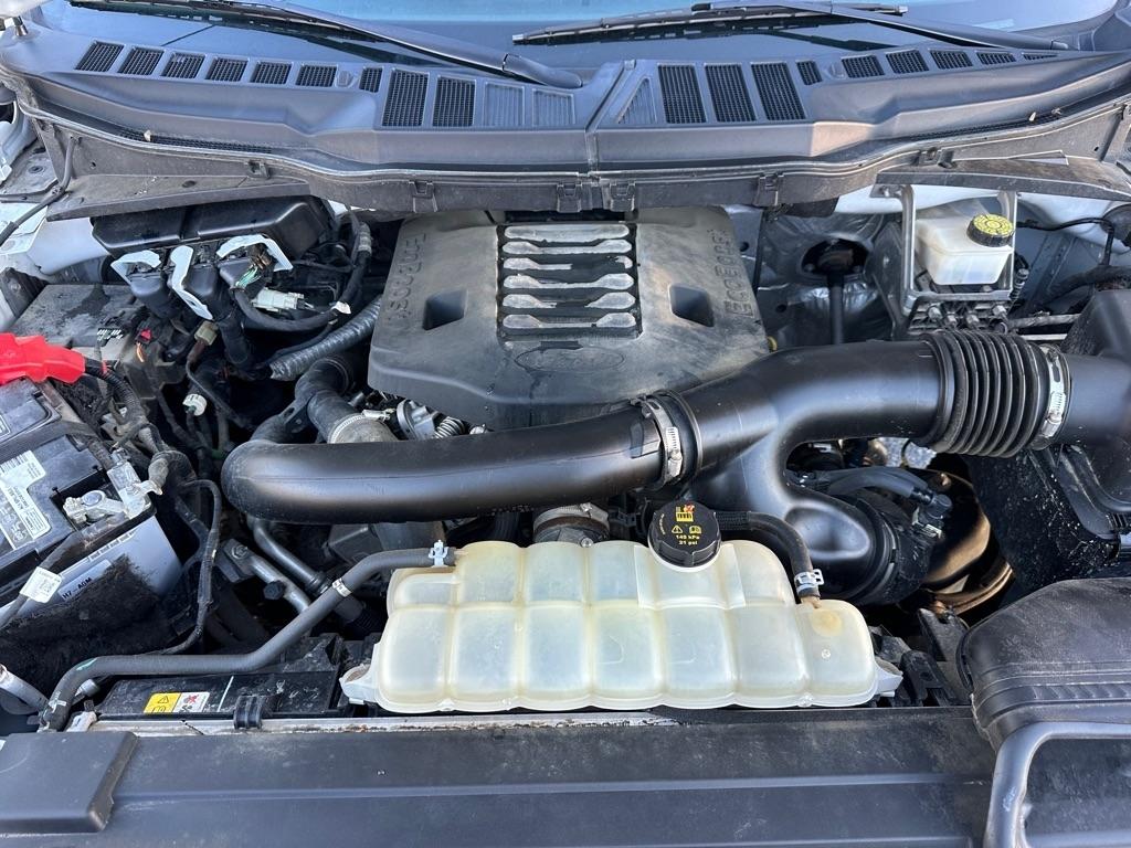 Ford F-150 XL SuperCrew 6.5-ft. Bed 4WD 2021