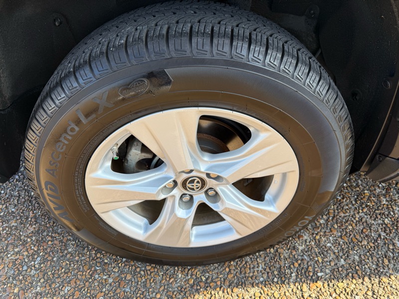 Toyota RAV4 XLE 2019