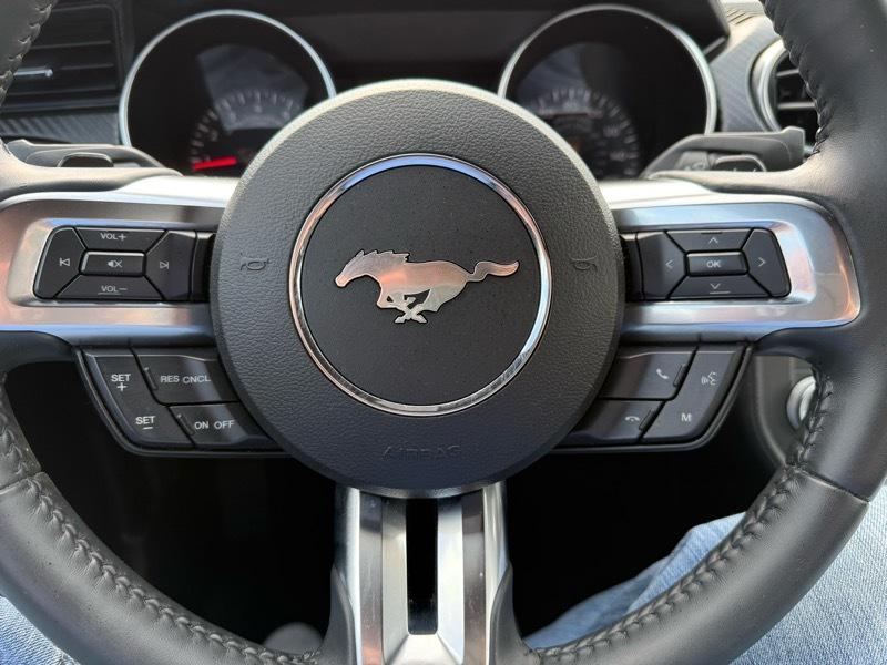 Ford Mustang EcoBoost Coupe 2018