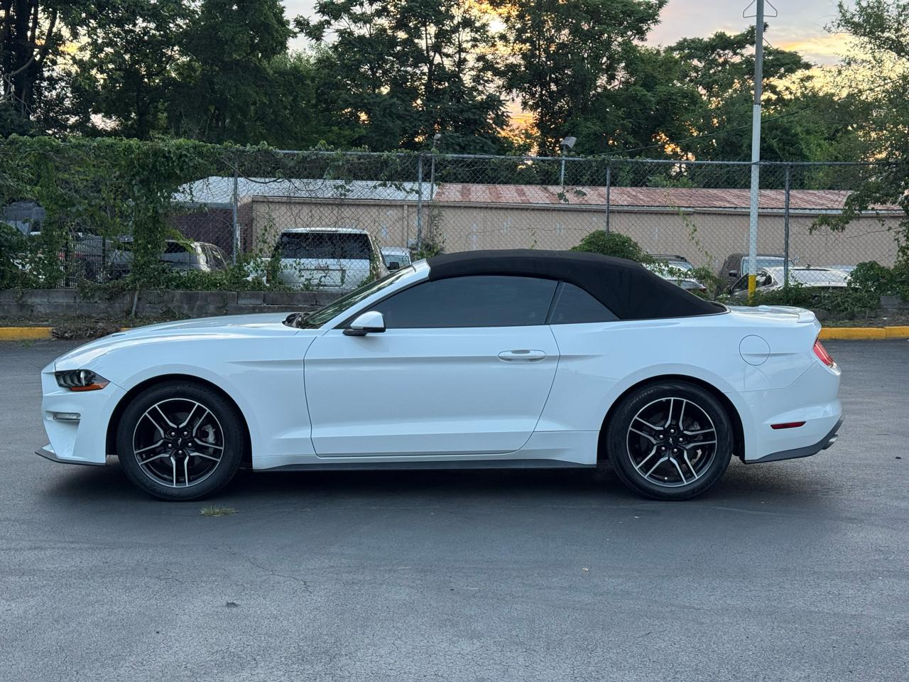 Ford Mustang EcoBoost Premium Convertible 2018