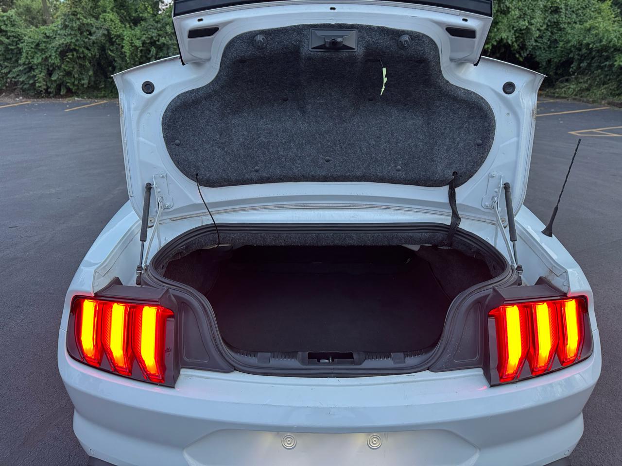 Ford Mustang EcoBoost Premium Convertible 2018