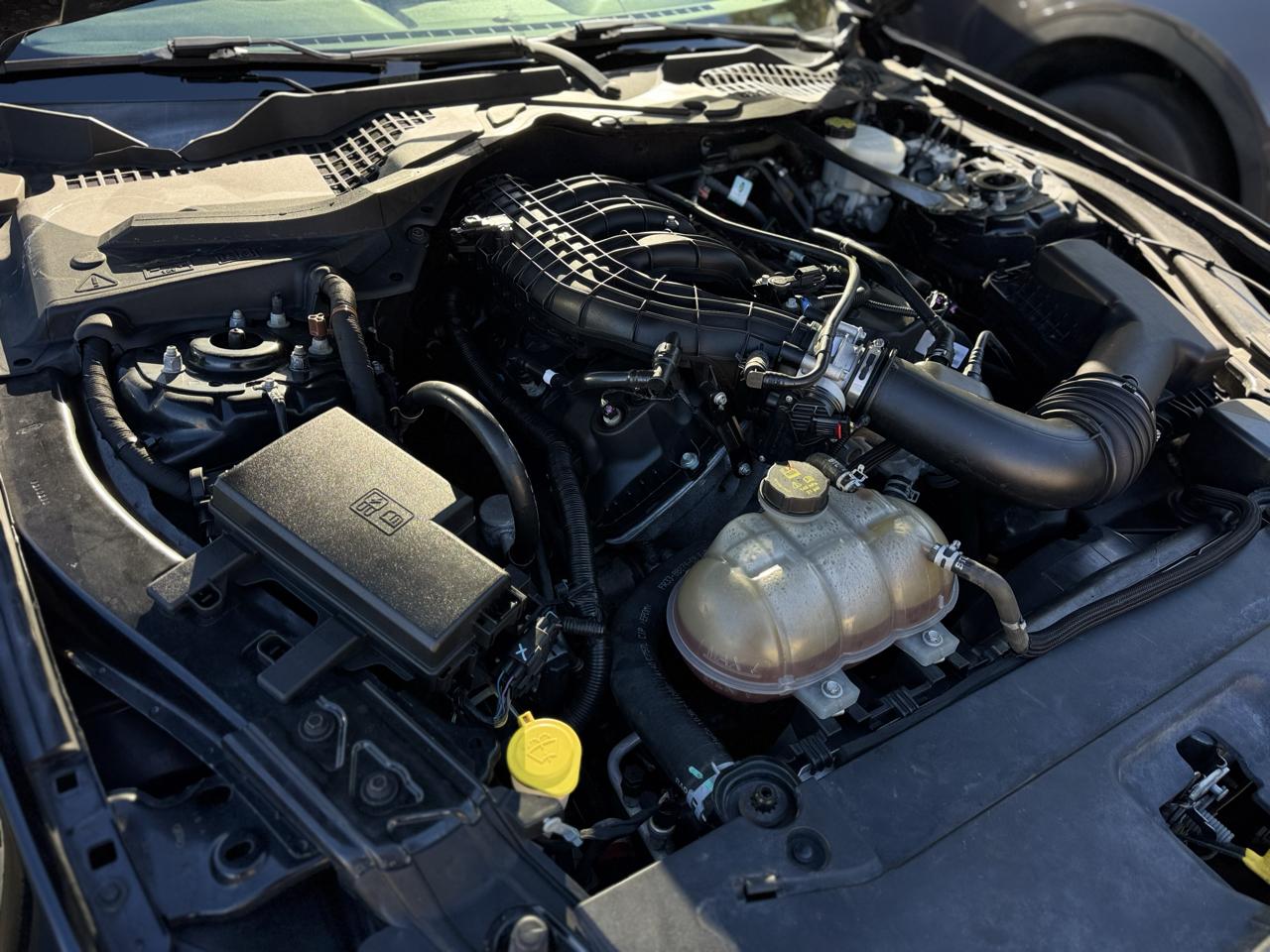 Ford Mustang V6 Convertible 2016