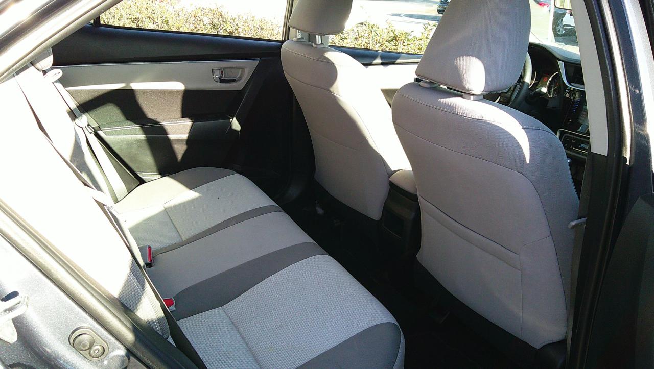 Toyota Corolla XLE CVT (Natl) 2019