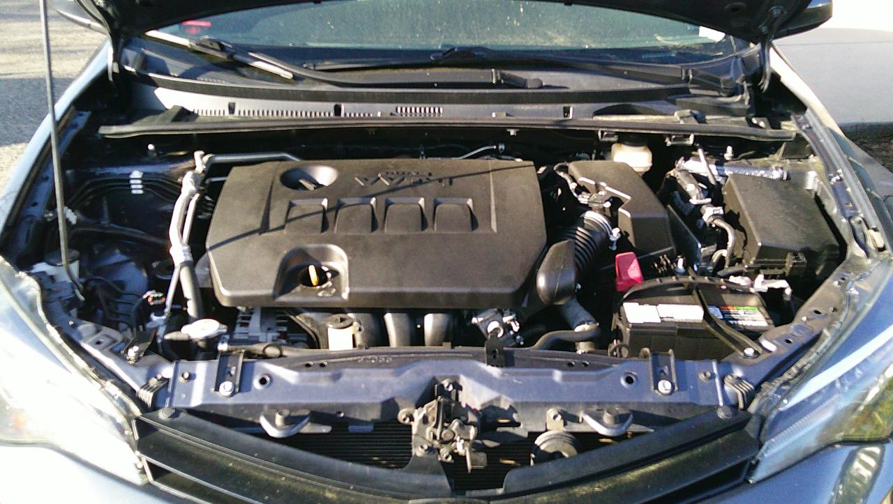 Toyota Corolla XLE CVT (Natl) 2019