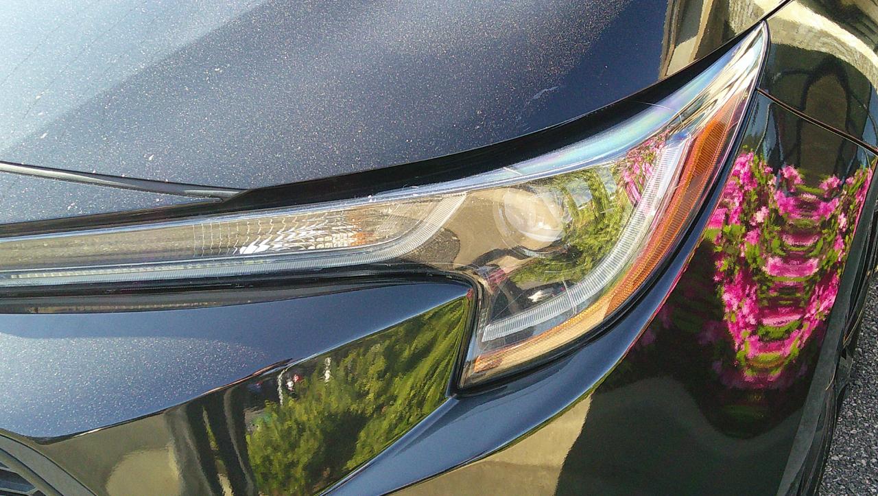 Toyota Corolla LE CVT (Natl) 2021