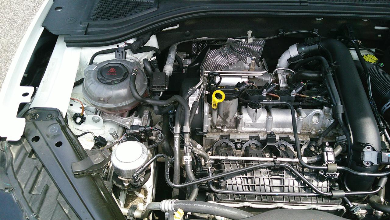 Volkswagen Jetta R-Line Auto w/SULEV 2019