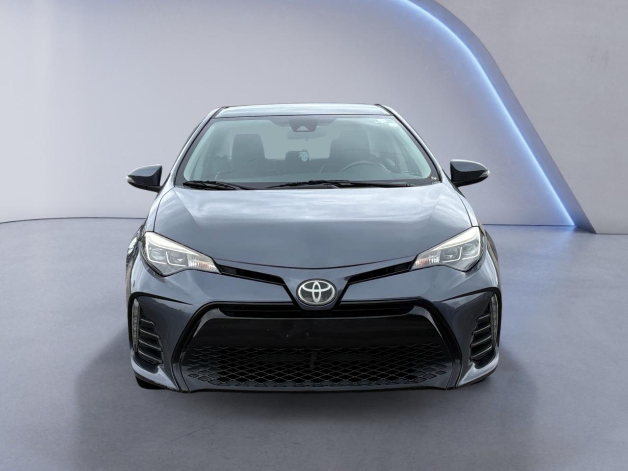 Toyota Corolla XLE CVT (Natl) 2019