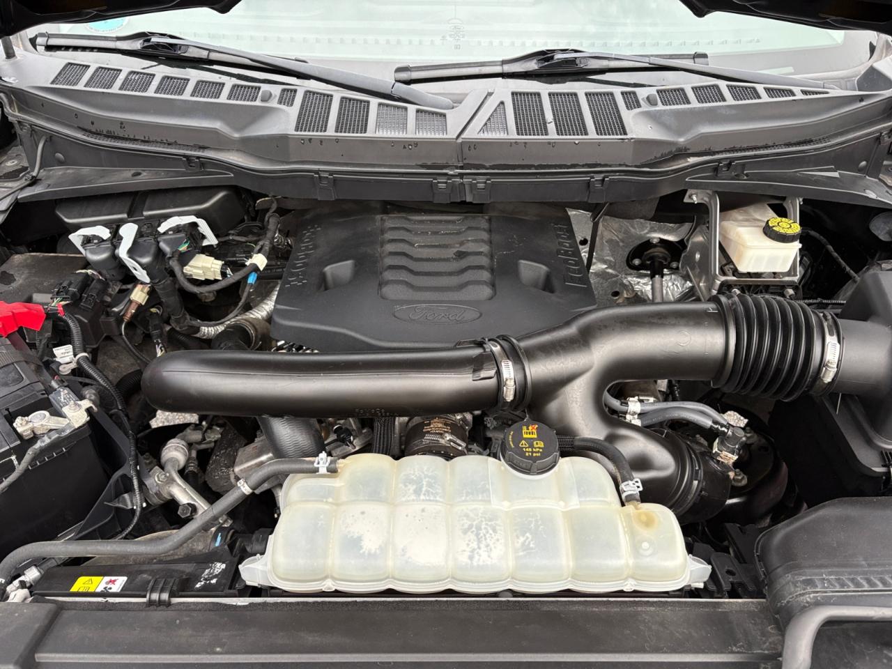 Ford F-150 XL 2WD SuperCrew 5.5' Box 2023