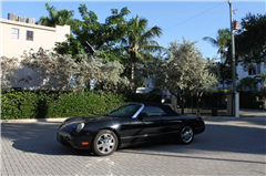 2002 Ford Thunderbird 