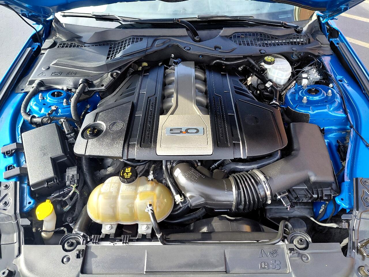 Ford Mustang GT Coupe 2019