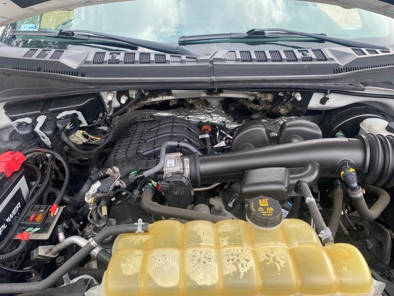 Ford F-150 XL SuperCab 6.5-ft. Bed 2WD 2019