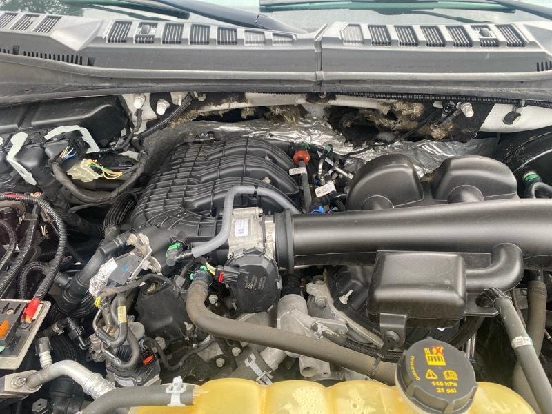 Ford F-150 XL SuperCab 6.5-ft. Bed 2WD 2019