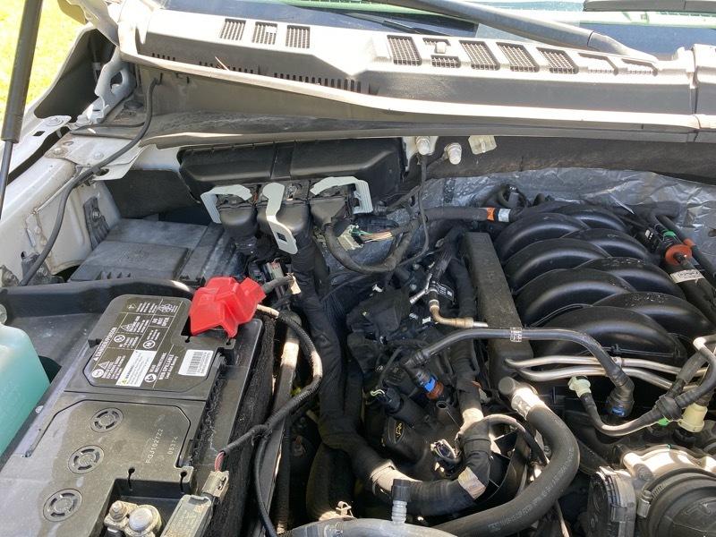 Ford F-150 XLT 8-ft. Bed 4WD 2020