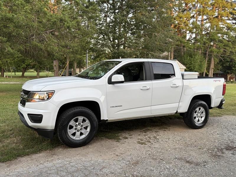 Chevrolet Colorado Work Truck Crew Cab 4WD Short Box 2019