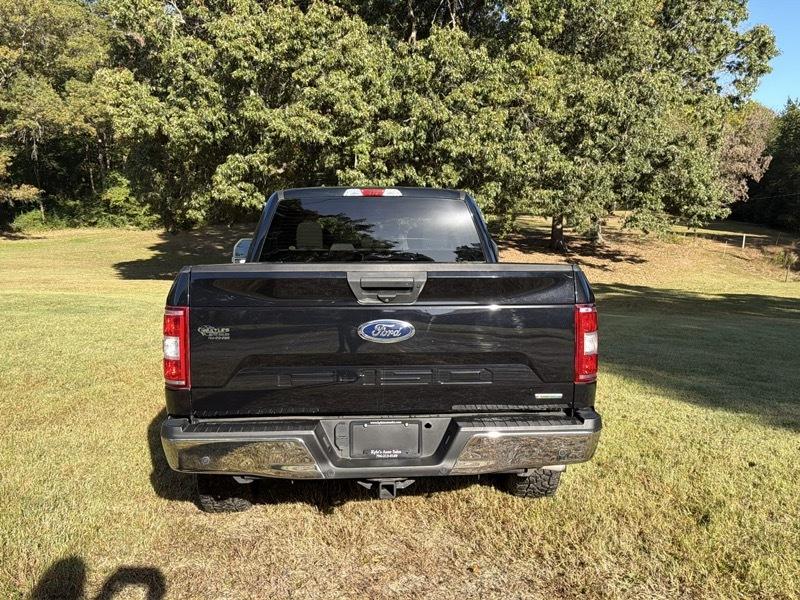 Ford F-150 XLT SuperCrew 5.5-ft. Bed 4WD 2019