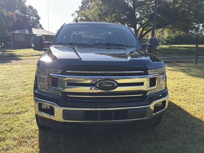 Ford F-150 XLT SuperCrew 5.5-ft. Bed 4WD 2019