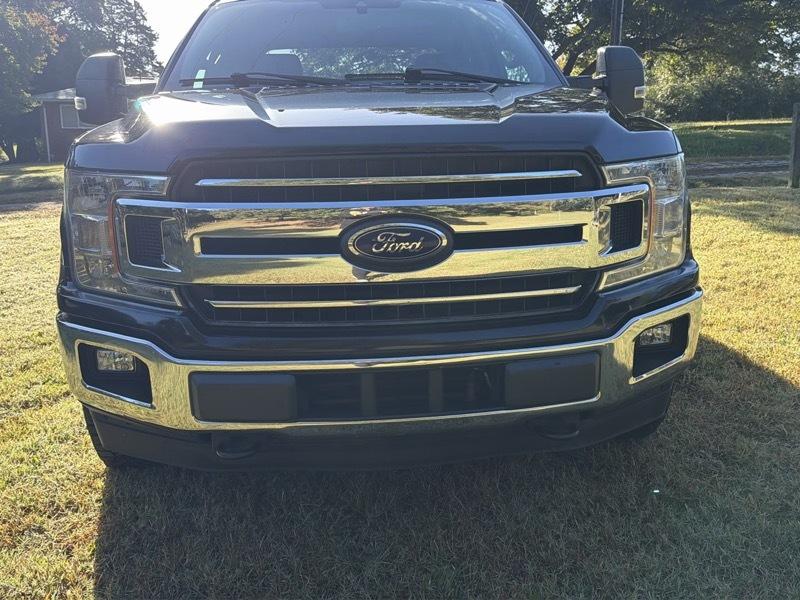Ford F-150 XLT SuperCrew 5.5-ft. Bed 4WD 2019