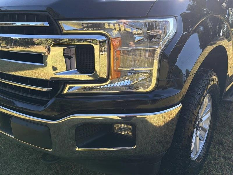 Ford F-150 XLT SuperCrew 5.5-ft. Bed 4WD 2019