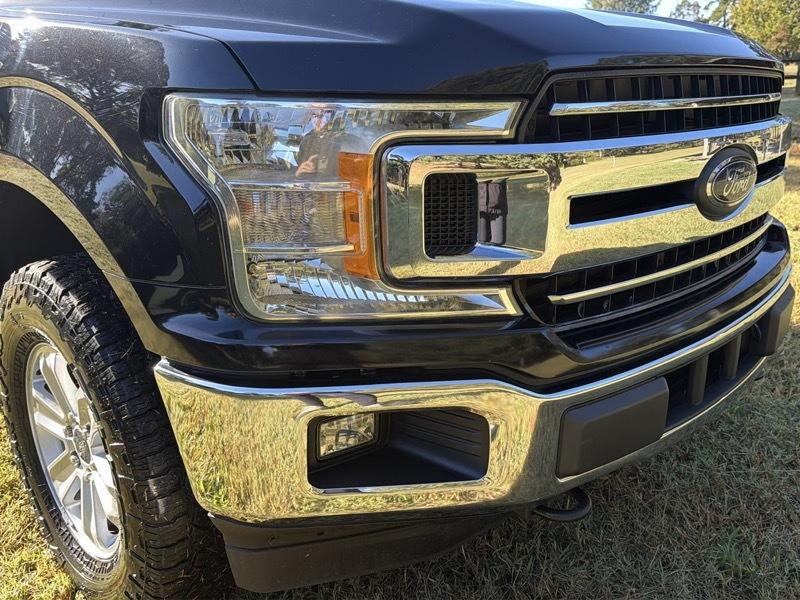 Ford F-150 XLT SuperCrew 5.5-ft. Bed 4WD 2019