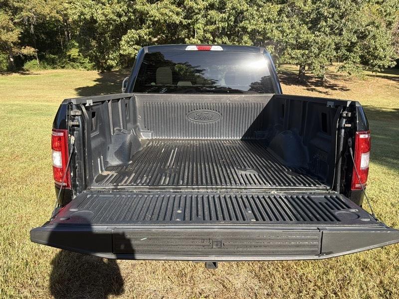 Ford F-150 XLT SuperCrew 5.5-ft. Bed 4WD 2019