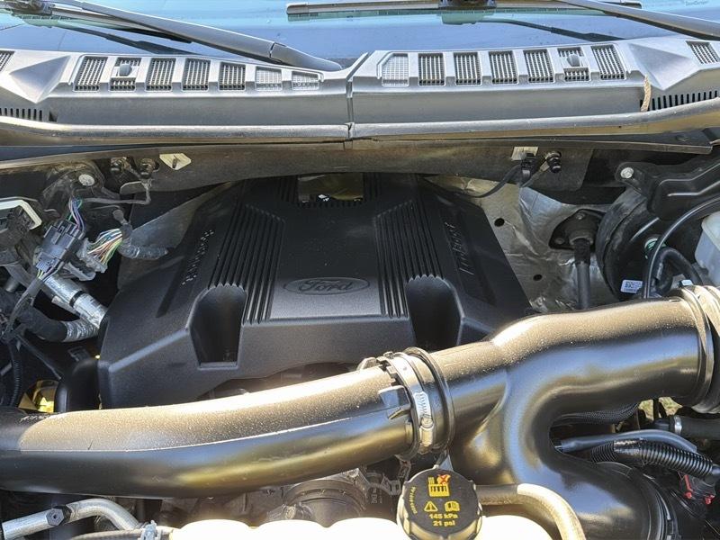 Ford F-150 XLT SuperCrew 5.5-ft. Bed 4WD 2019