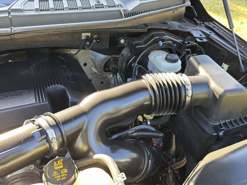 Ford F-150 XLT SuperCrew 5.5-ft. Bed 4WD 2019