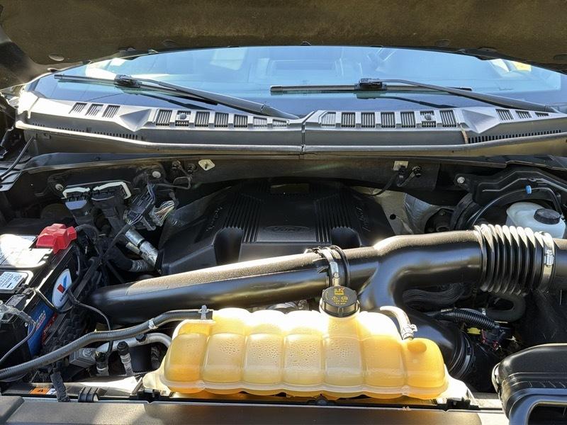 Ford F-150 XLT SuperCrew 5.5-ft. Bed 4WD 2019