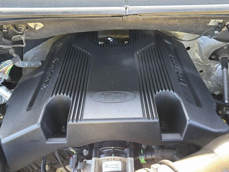 Ford F-150 XLT SuperCrew 5.5-ft. Bed 4WD 2019