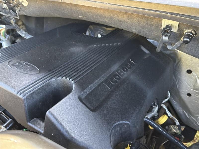 Ford F-150 XLT SuperCrew 5.5-ft. Bed 4WD 2019