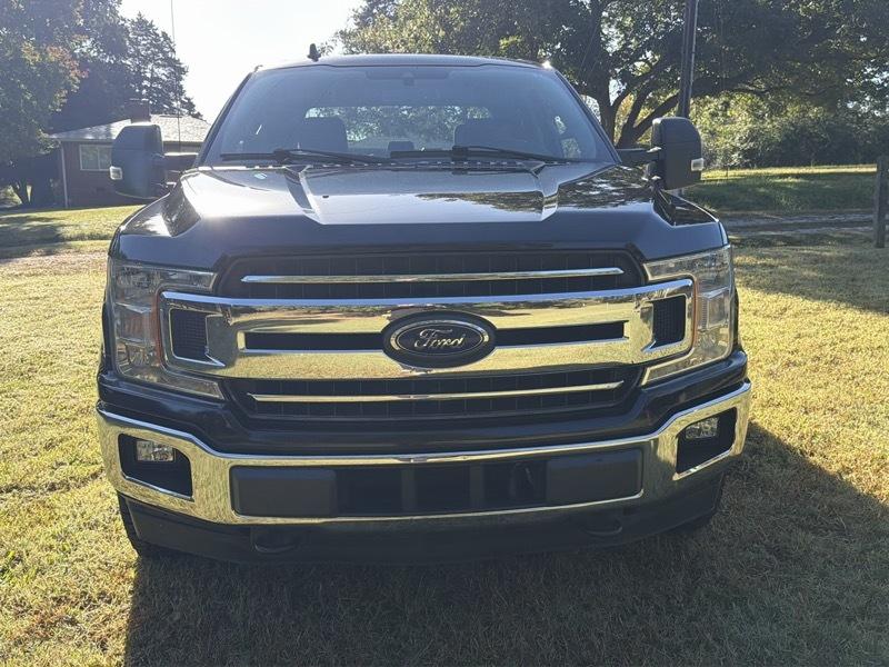 Ford F-150 XLT SuperCrew 5.5-ft. Bed 4WD 2019